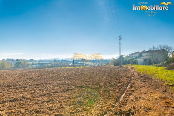 Vendita rustico di 246 m2, Valenza (AL) - 14