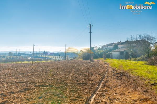 Vendita rustico di 246 m2, Valenza (AL) - 15