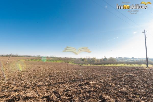 Vendita rustico di 246 m2, Valenza (AL) - 7