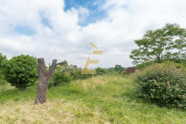 Vendita casa bi/plurifamigliare di 504 m2, Valenza (AL) - 40