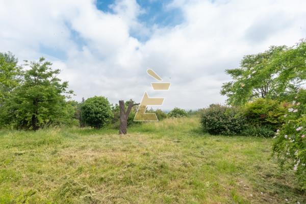 Vendita casa bi/plurifamigliare di 504 m2, Valenza (AL) - 37
