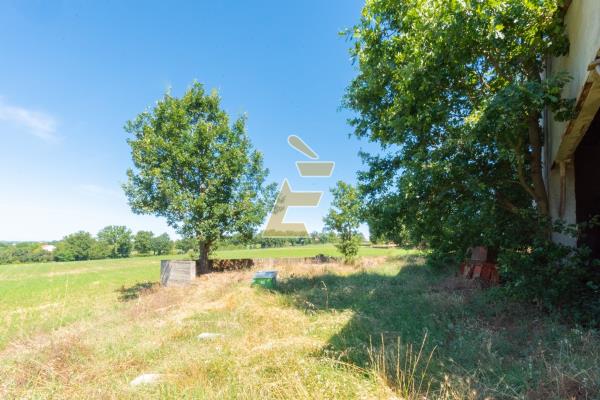 Vendita rustico di 231 m2, Alessandria (AL) - 10