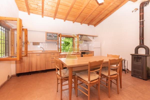 Vendita ricovero attrezzi di 34 m2, San Salvatore Monf. (AL) - 4