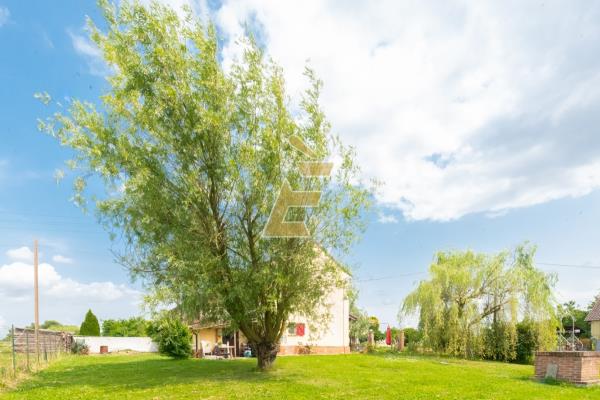 Vendita casa indipendente di 219 m2, Valenza (AL) - 38
