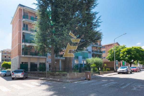 Affitto appartamento di 104 m2, Valenza (AL) - 24