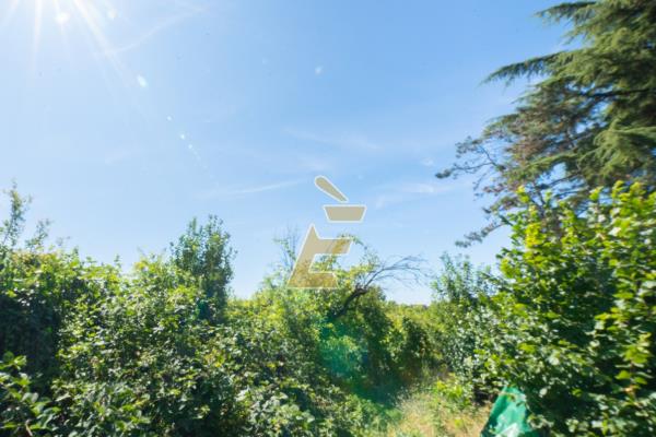 Vendita casa indipendente di 254 m2, Alessandria (AL) - 17