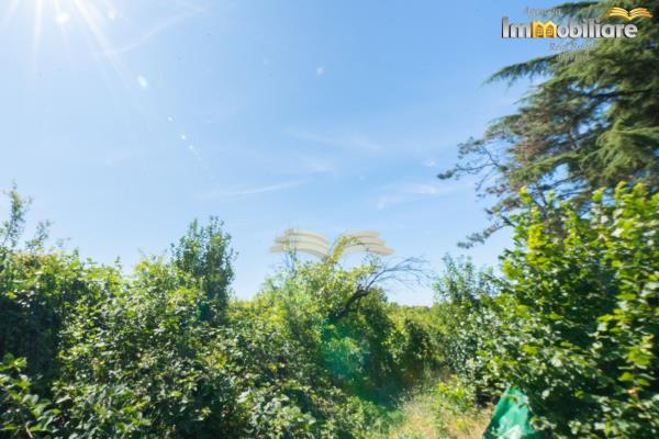 Vendita casa indipendente di 254 m2, Alessandria (AL) - 18