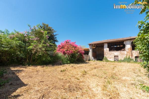 Vendita rustico di 390 m2, Bassignana (AL) - 38