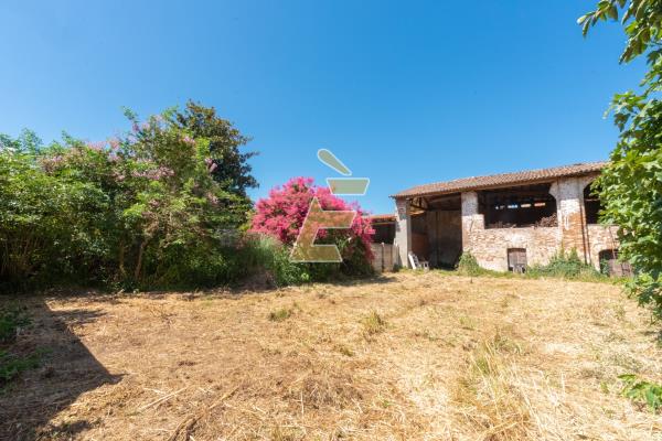 Vendita rustico di 390 m2, Bassignana (AL) - 37