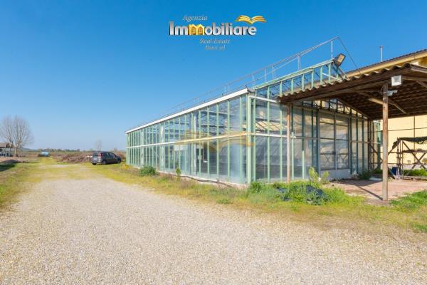 Vendita terreno edificabile di 25399 m2, Bassignana (AL) - 14