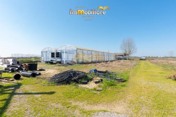 Vendita terreno edificabile di 25399 m2, Bassignana (AL) - 8