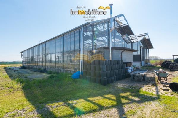 Vendita terreno edificabile di 25399 m2, Bassignana (AL) - 6