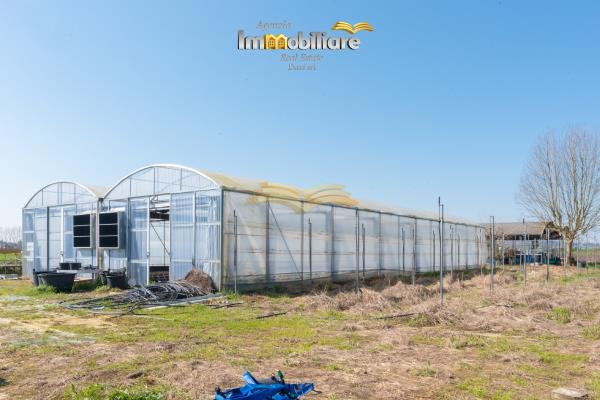 Vendita terreno edificabile di 25399 m2, Bassignana (AL) - 9