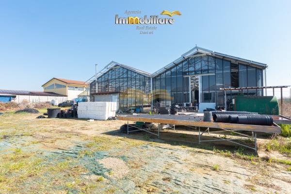 Vendita terreno edificabile di 25399 m2, Bassignana (AL) - 16