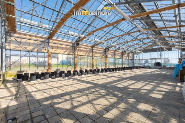 Vendita terreno edificabile di 25399 m2, Bassignana (AL) - 17