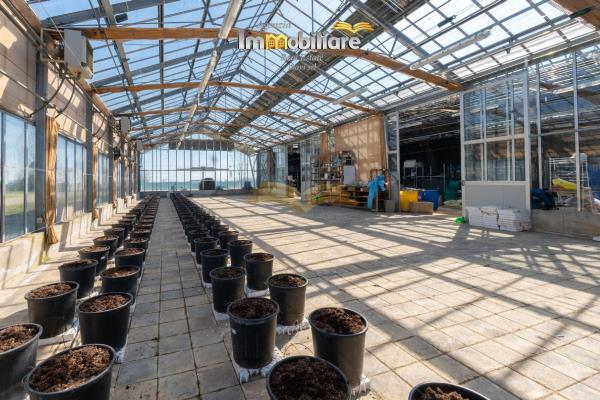 Vendita terreno edificabile di 25399 m2, Bassignana (AL) - 10