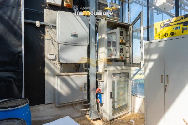 Vendita terreno edificabile di 25399 m2, Bassignana (AL) - 24