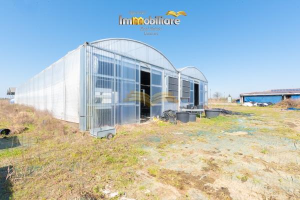 Vendita terreno edificabile di 25399 m2, Bassignana (AL) - 15