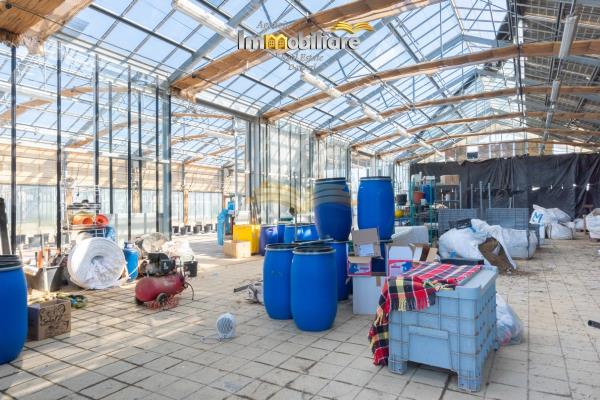 Vendita terreno edificabile di 25399 m2, Bassignana (AL) - 18