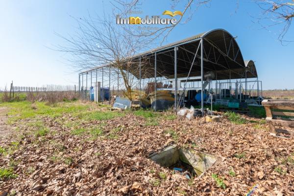 Vendita terreno edificabile di 25399 m2, Bassignana (AL) - 20