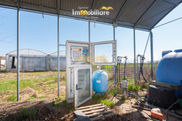 Vendita terreno edificabile di 25399 m2, Bassignana (AL) - 22