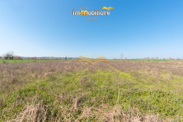 Vendita terreno edificabile di 25399 m2, Bassignana (AL) - 21