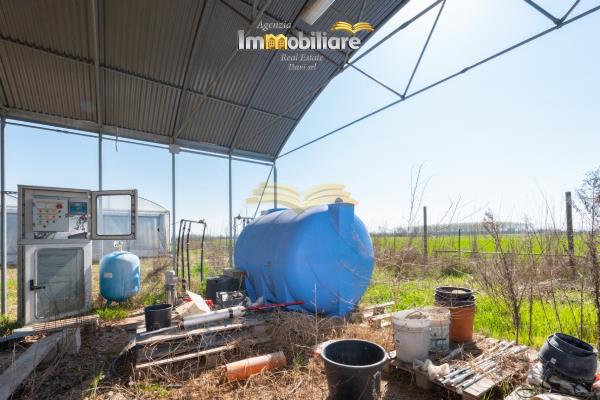 Vendita terreno edificabile di 25399 m2, Bassignana (AL) - 23