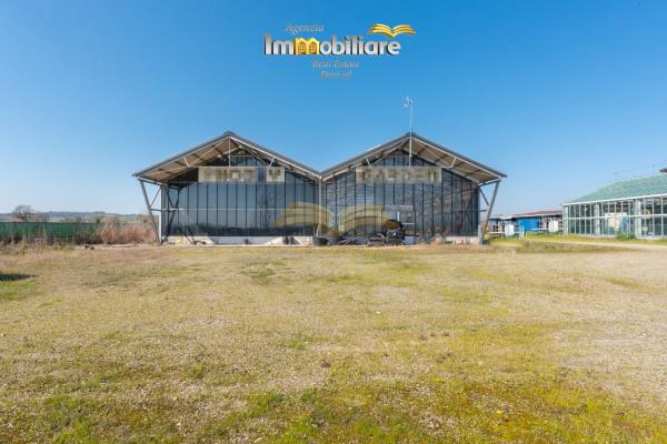 Vendita terreno edificabile di 25399 m2, Bassignana (AL) - 19