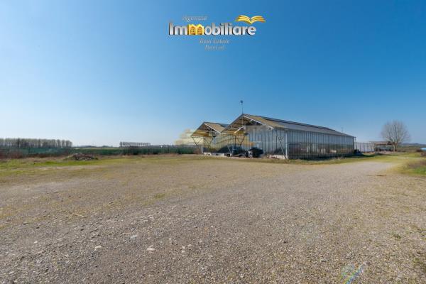 Vendita terreno edificabile di 25399 m2, Bassignana (AL) - 7