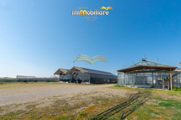 Vendita terreno edificabile di 25399 m2, Bassignana (AL) - 3