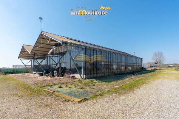 Vendita terreno edificabile di 25399 m2, Bassignana (AL) - 2