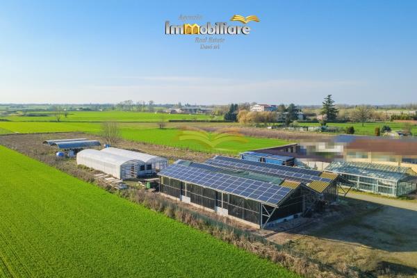 Vendita terreno edificabile Bassignana (AL)