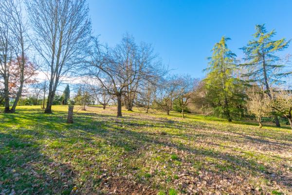 Vendita villa singola di 319 m2, Pecetto di Valenza (AL) - 6