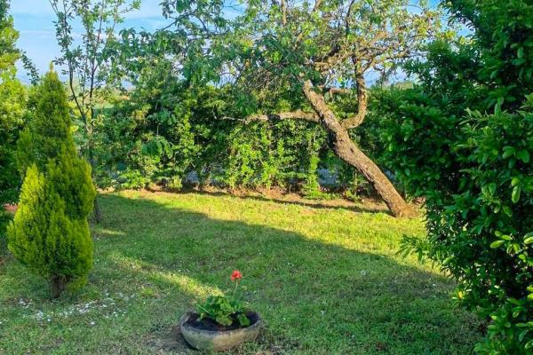 Vendita villa singola di 319 m2, Pecetto di Valenza (AL) - 70