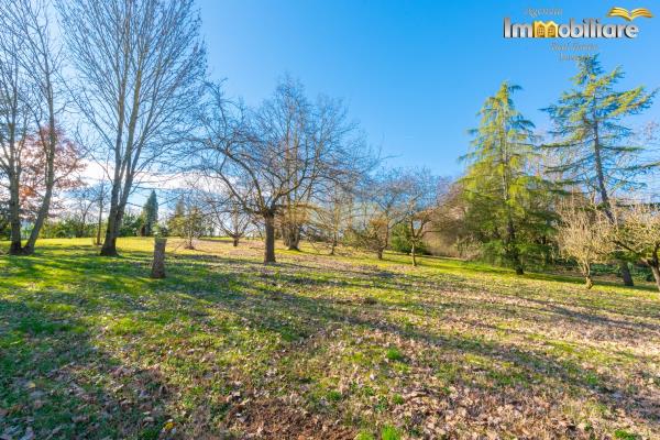 Vendita villa singola di 319 m2, Pecetto di Valenza (AL) - 6