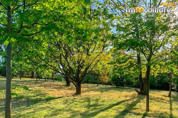 Vendita villa singola di 319 m2, Pecetto di Valenza (AL) - 69