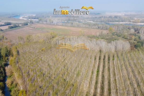 Vendita appartamento di 68 m2, Valenza (AL) - 23