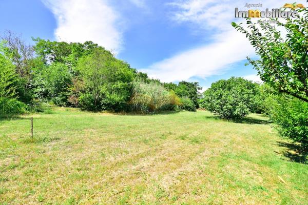 Vendita terreno edificabile Valenza (AL)