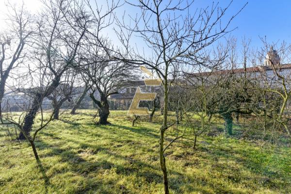 Vendita casa indipendente di 170 m2, Mirabello Monferrato (AL) - 7