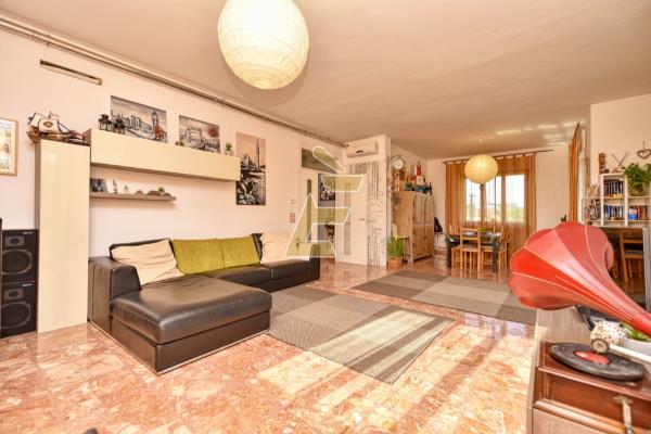 Vendita appartamento di 216 m2, Bassignana (AL) - 3